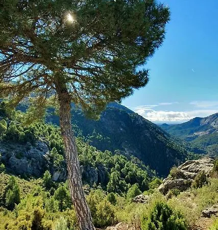 Holiday home Casa Cazorla